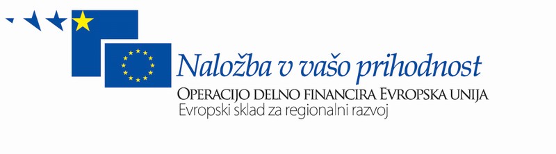 LOGOTIP ESRR.jpg